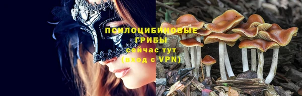 ECSTASY Абдулино