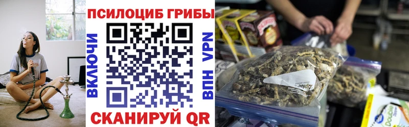 Галлюциногенные грибы Magic Shrooms  Дмитровск 